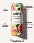 Blood Orange and Pomegranate Seltzer can with descriptive text