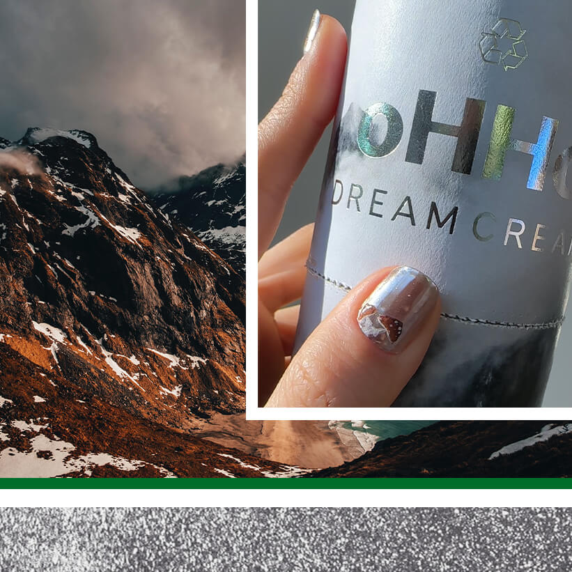 DreamCreamForest