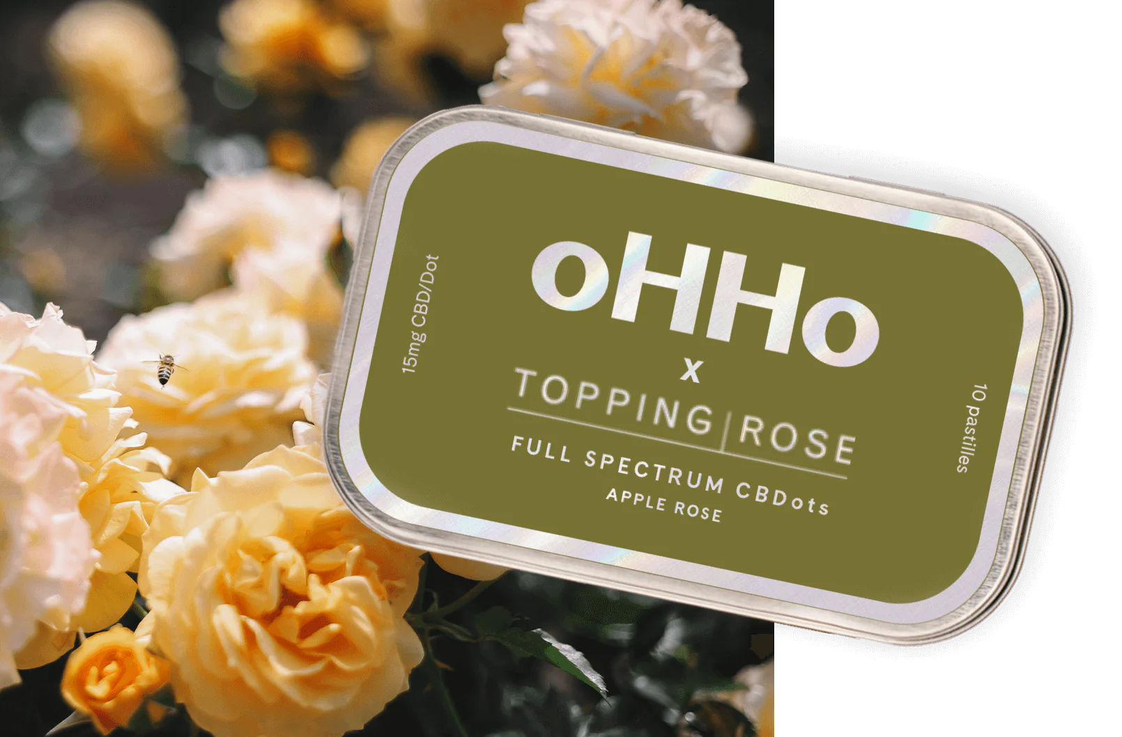 green tin for collaboration with Topping Rose and oHHo